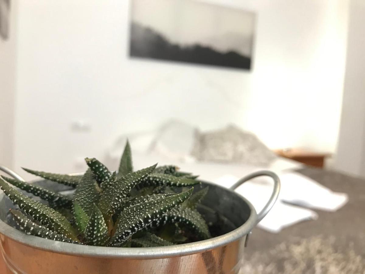 Apartamentos Arha بوت المظهر الخارجي الصورة